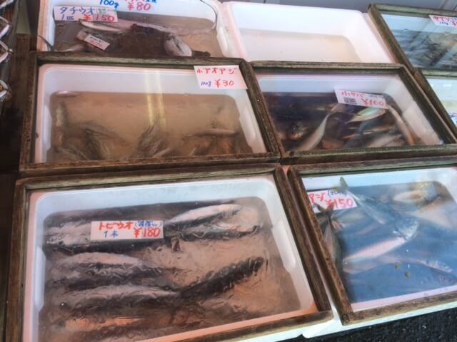 丸吉商店の魚画像