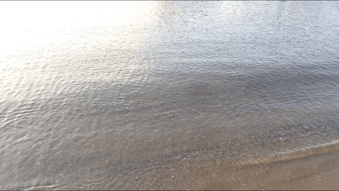三津海水浴場の水質はキレイ