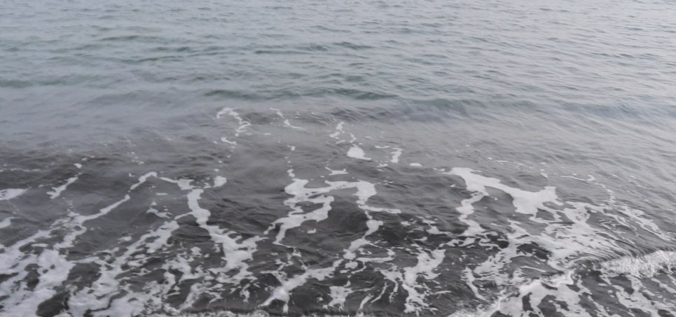 サザンビーチ茅ヶ崎の海水浴場の水質は汚い