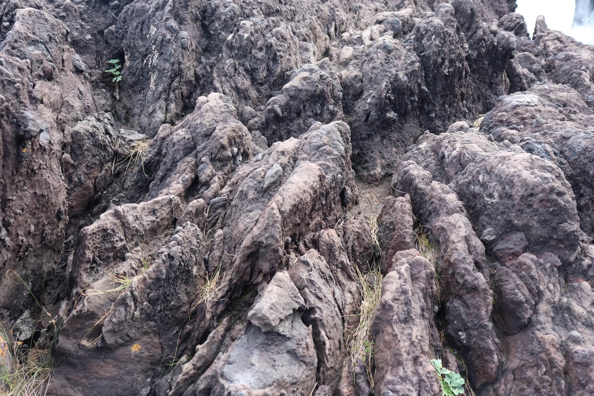 城ヶ崎海岸の岩石