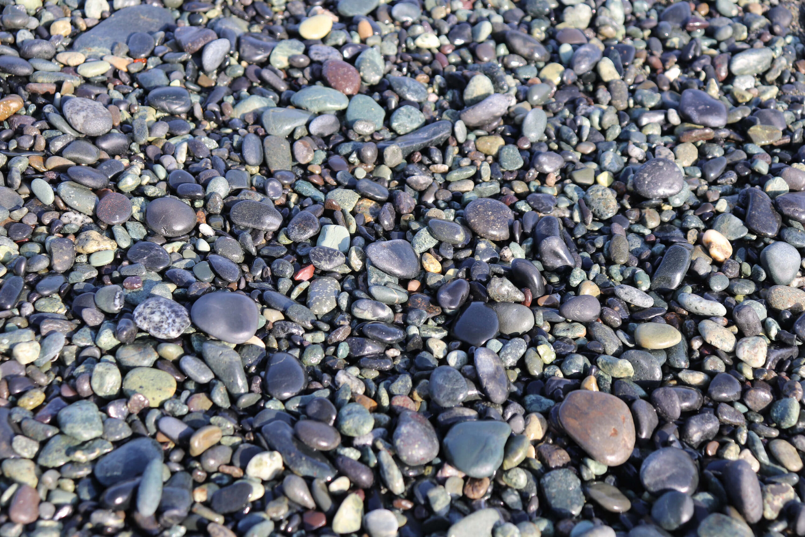 大磯こゆるぎ浜の石