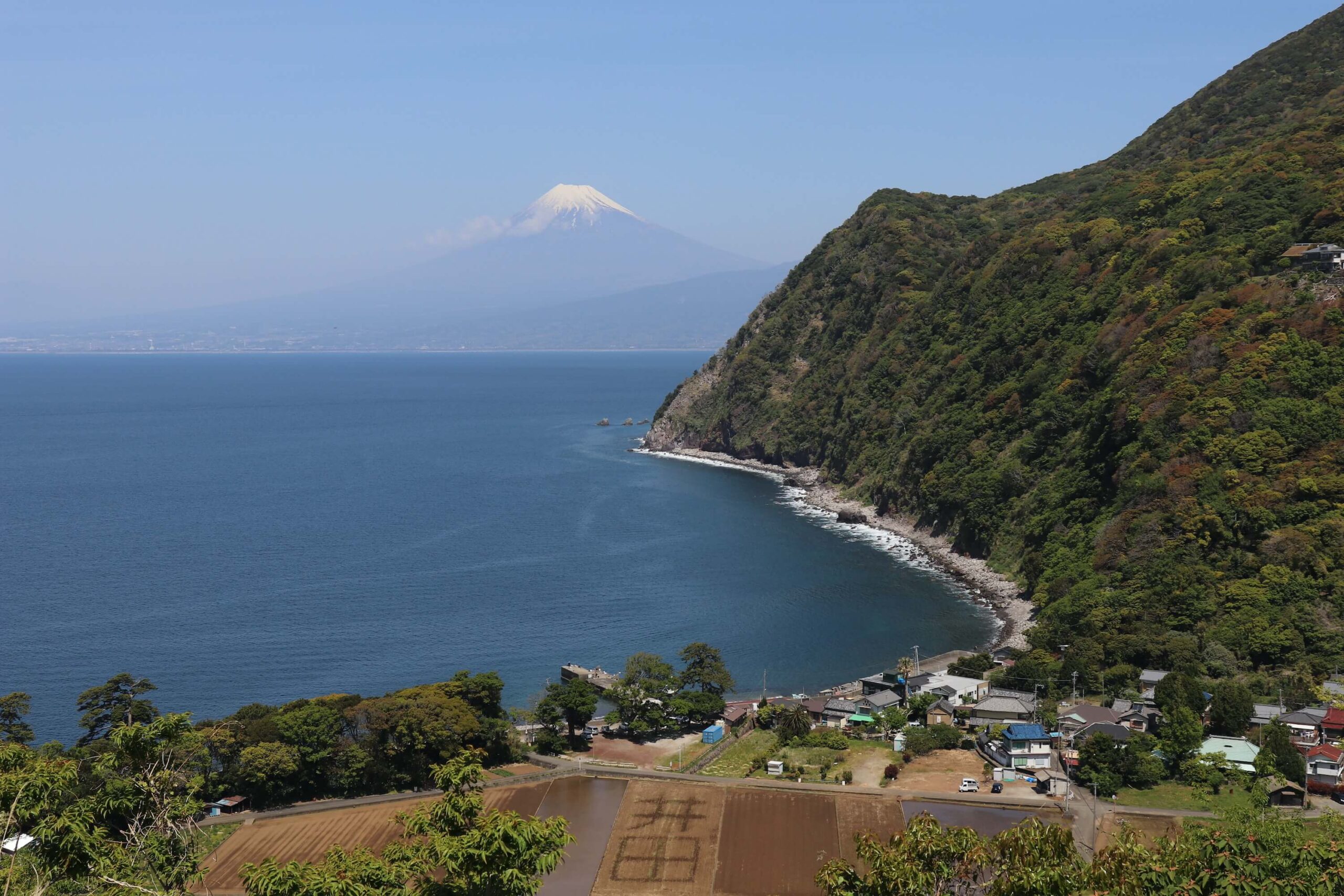 井田の煌めきの丘と富士山