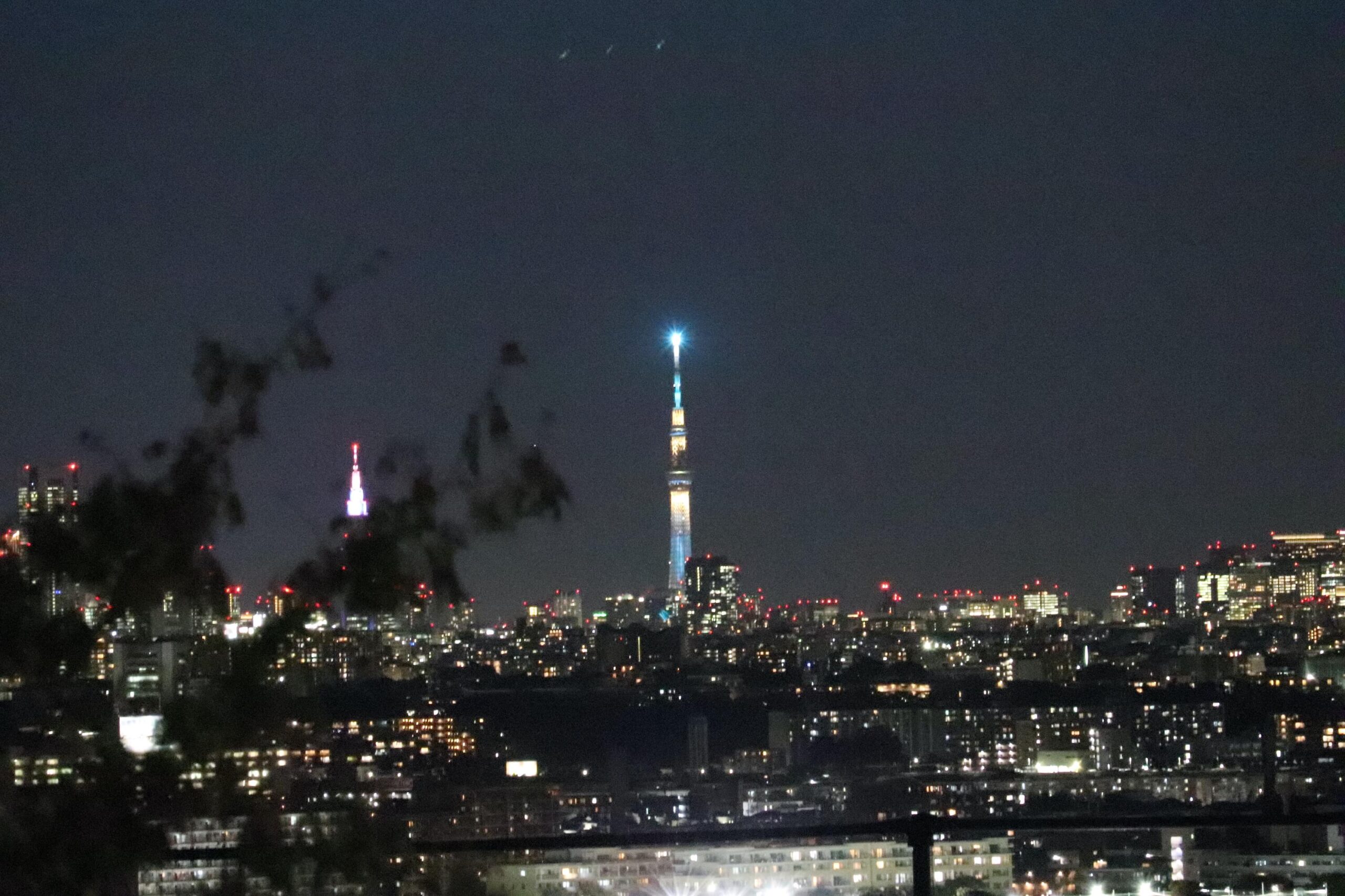 東京よみうりランドの夜景とスカイツリー