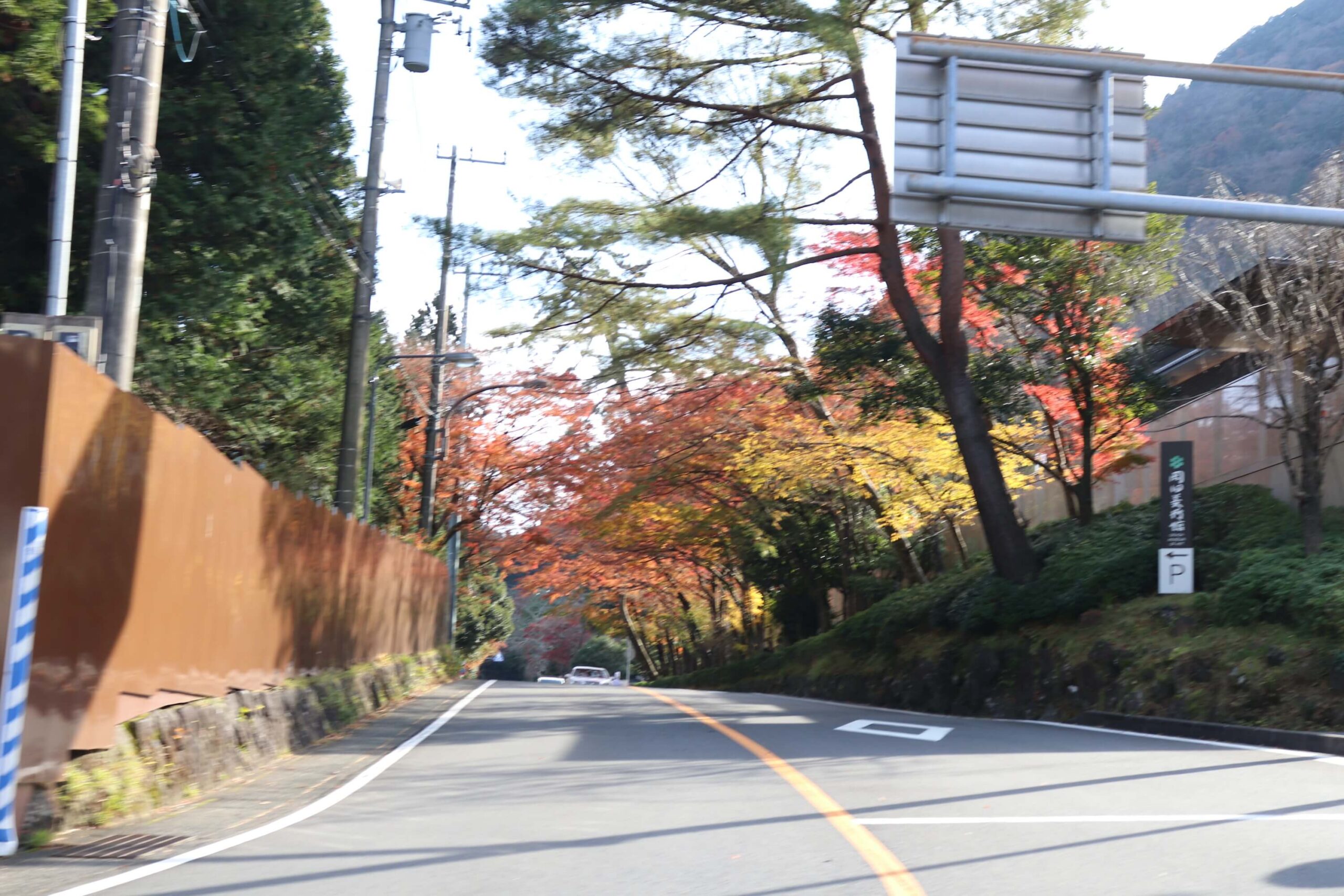 箱根の国道1号線の紅葉