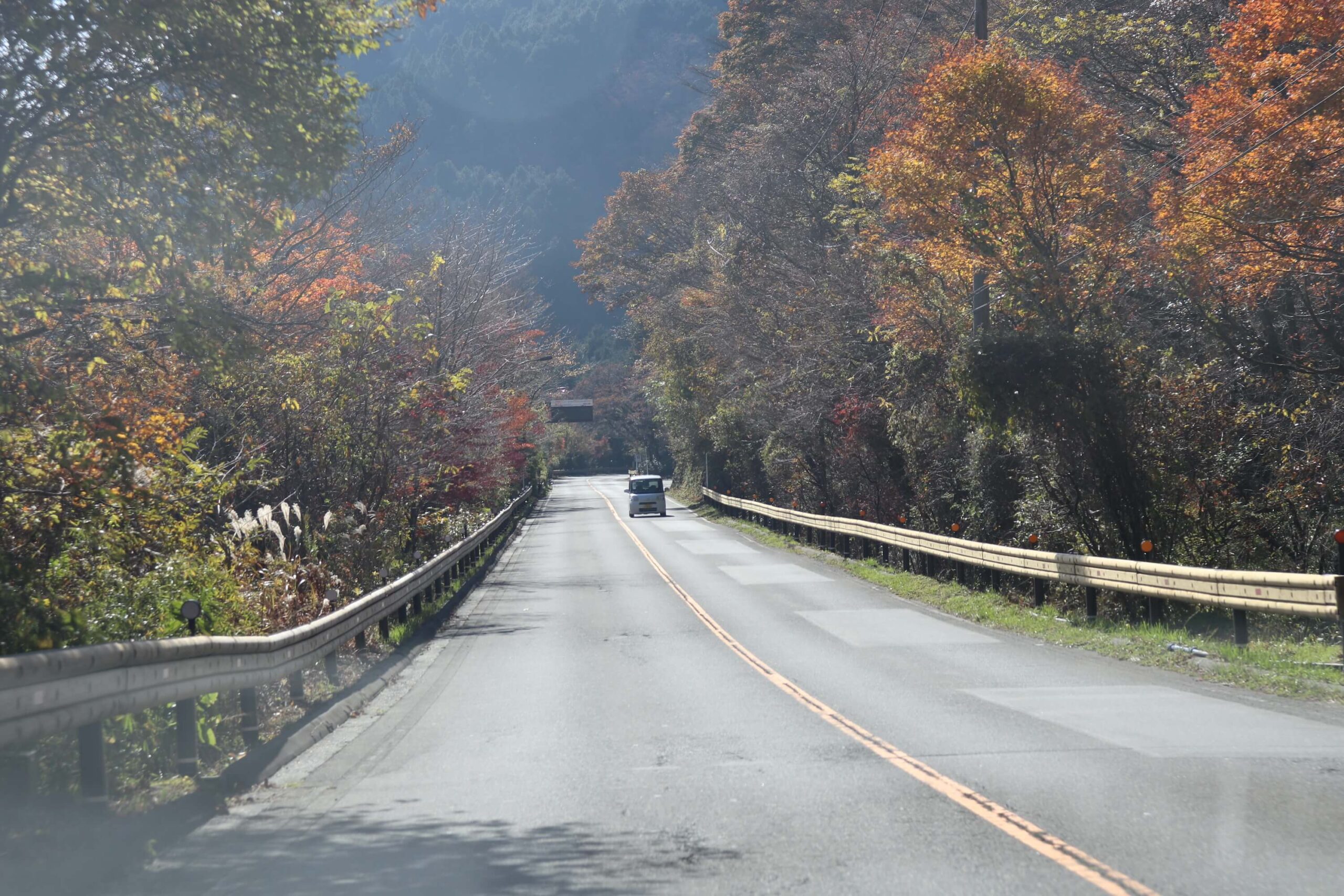 箱根の国道138号線の紅葉