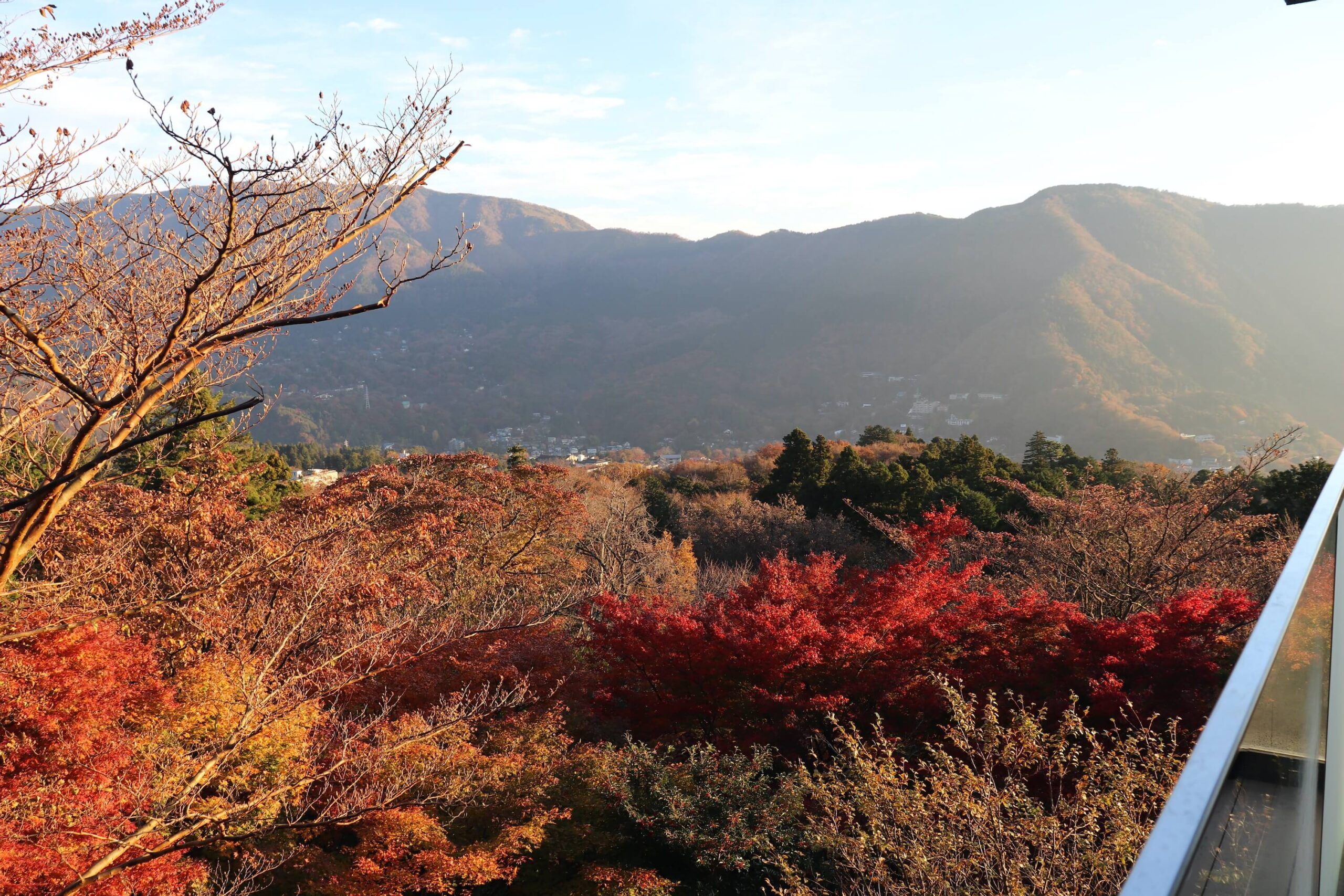 箱根強羅白檀の朝の紅葉