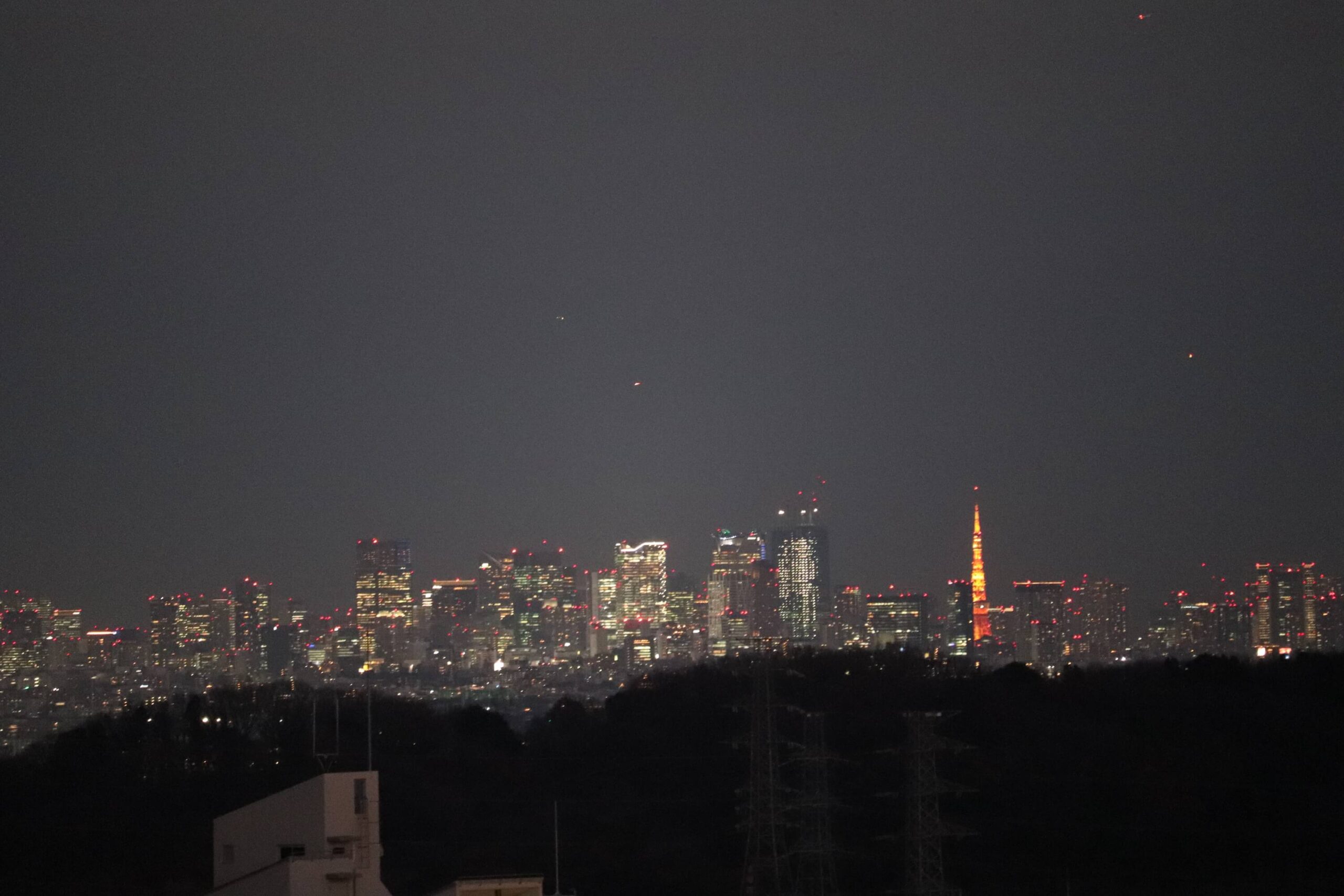 稲城みはらし公園の夜景と東京タワー