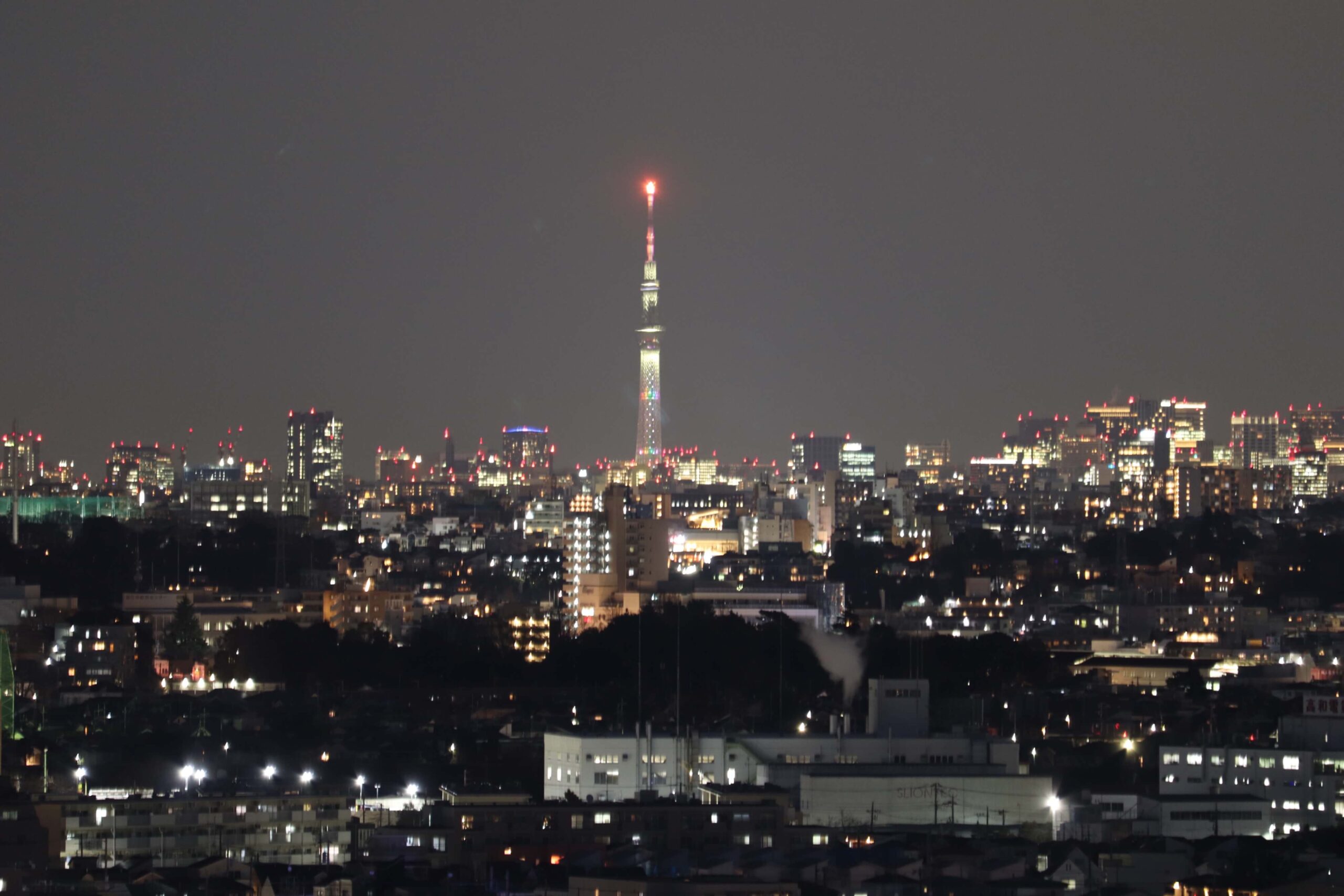 生田配水池展望広場から見る東京スカイツリーの夜景