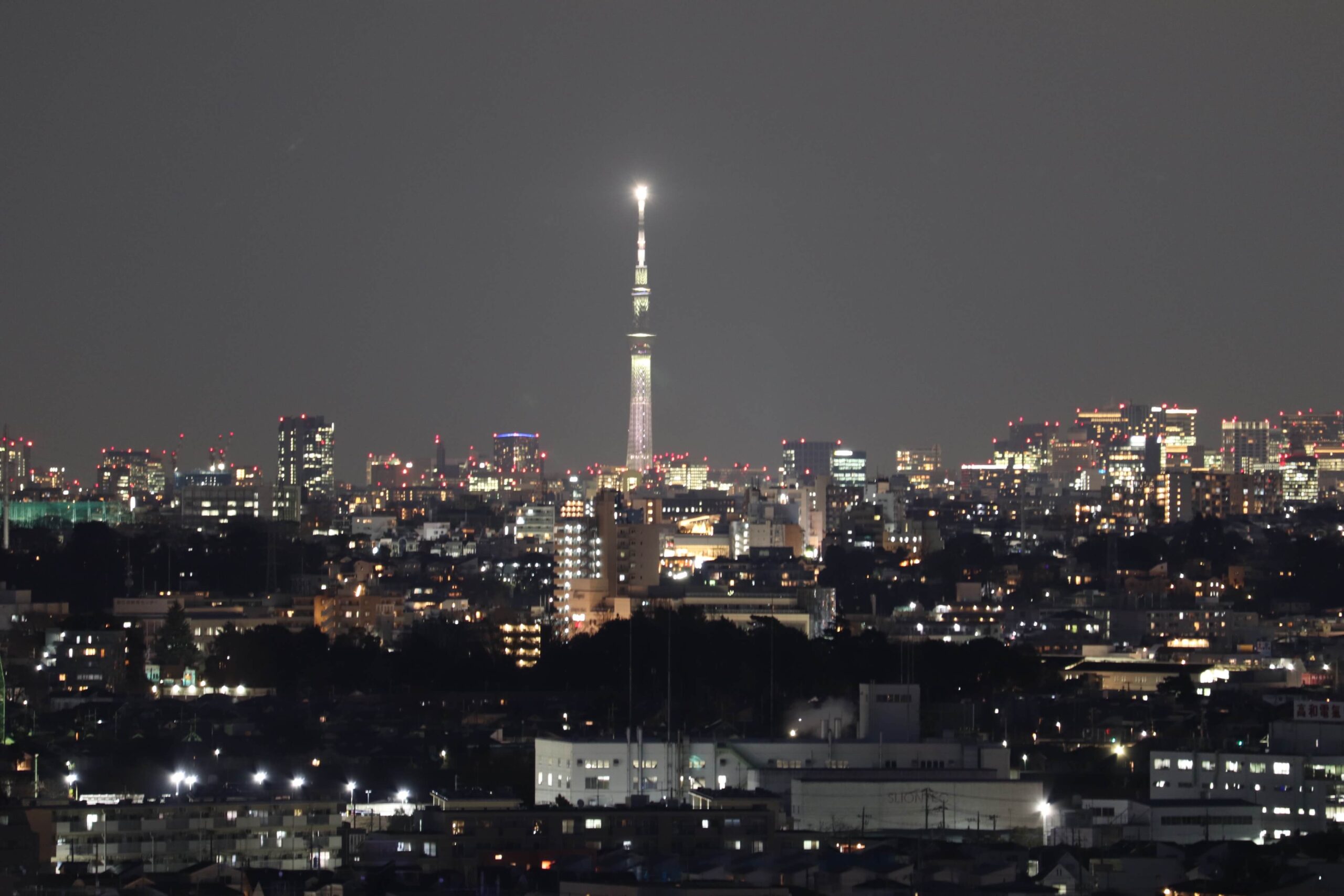 生田配水池展望広場から見る東京スカイツリーの夜景