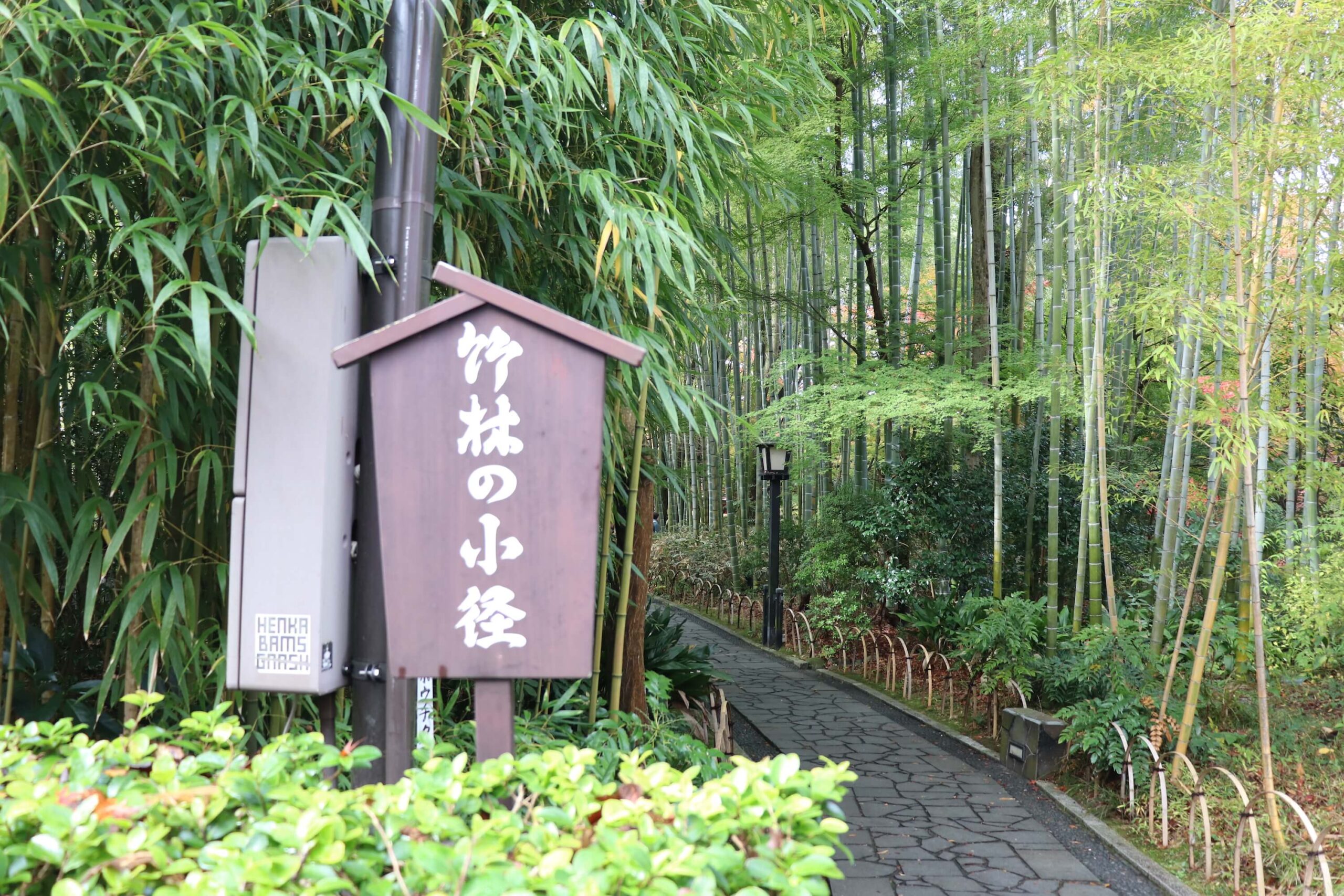 修善寺の竹林の小径