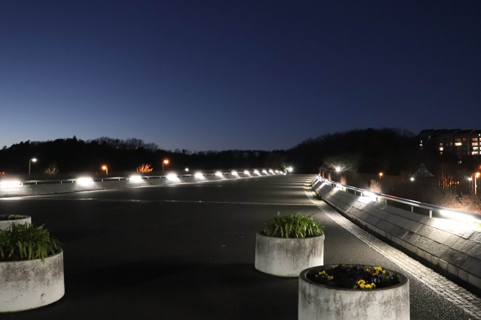 夜景が綺麗な稲城のクジラ橋 けいブログ