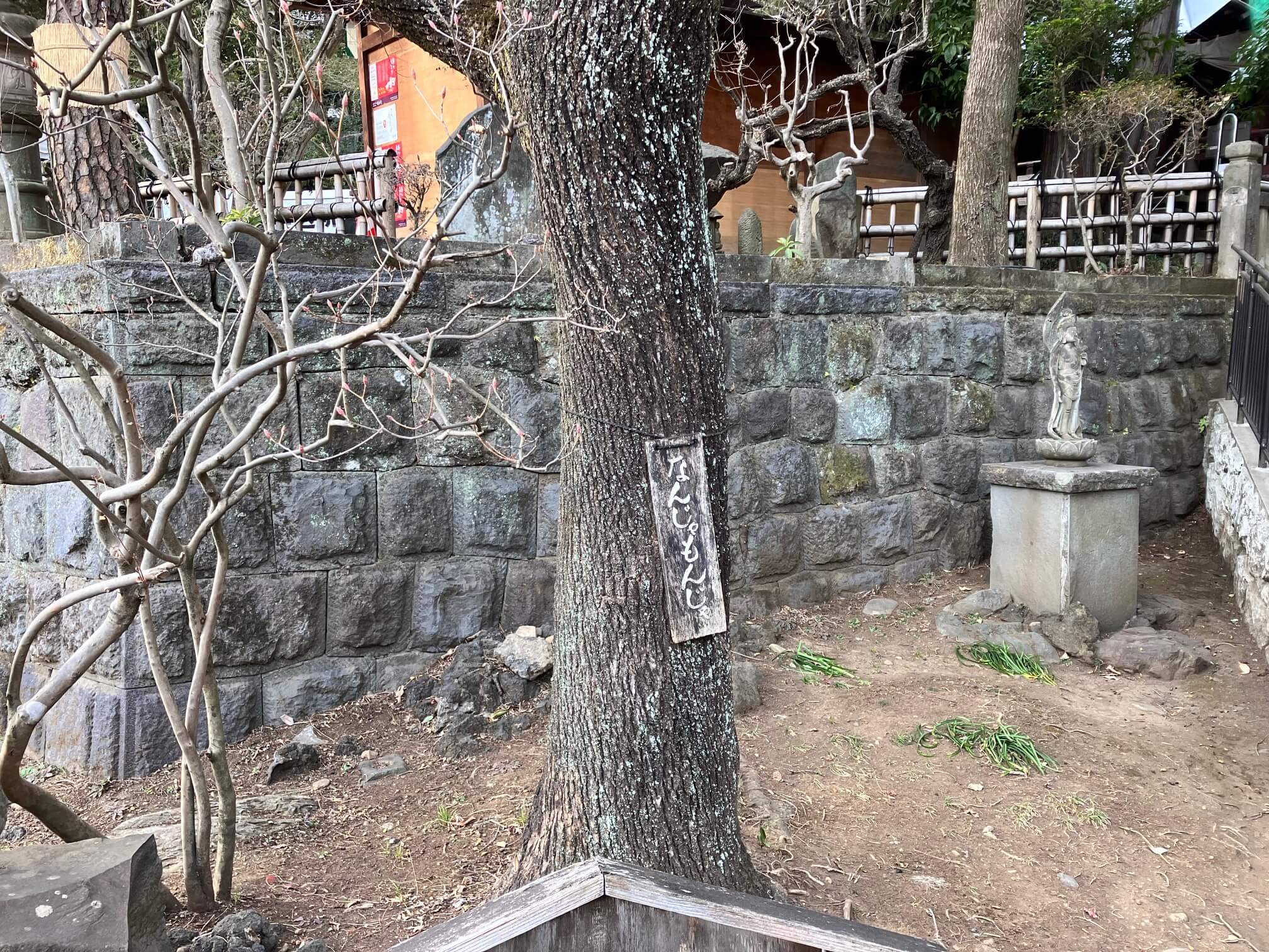調布深大寺のなんじゃモンジャの木