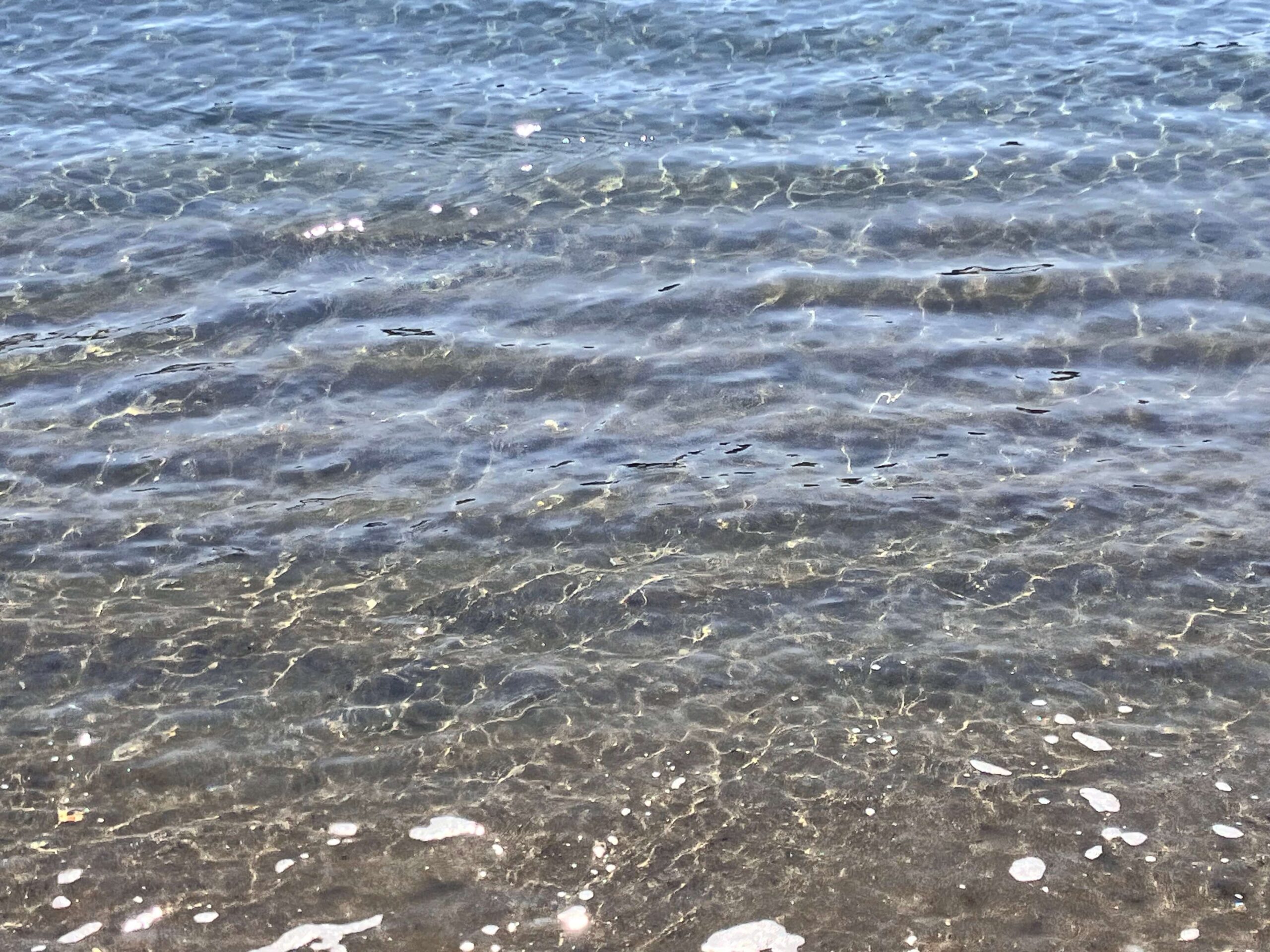 長浜海水浴場の海水は透明