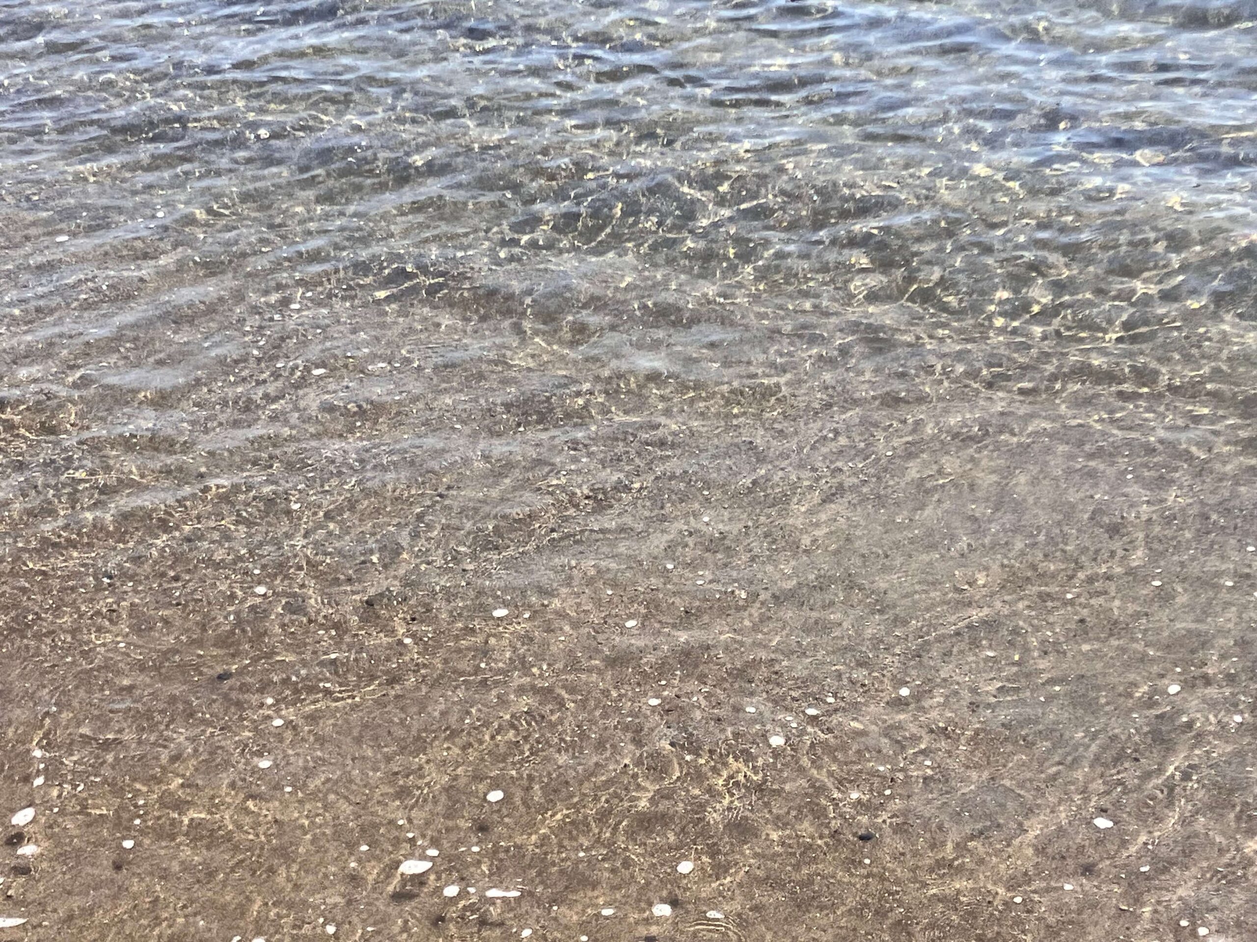 長浜海水浴場の海水は透明